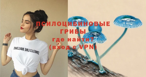 спиды Аркадак