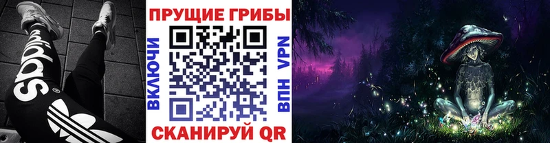 Псилоцибиновые грибы MAGIC MUSHROOMS  Калач 