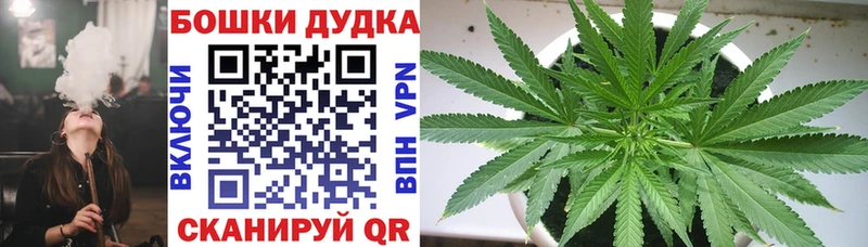 Канабис ГИДРОПОН  где можно купить наркотик  Калач 